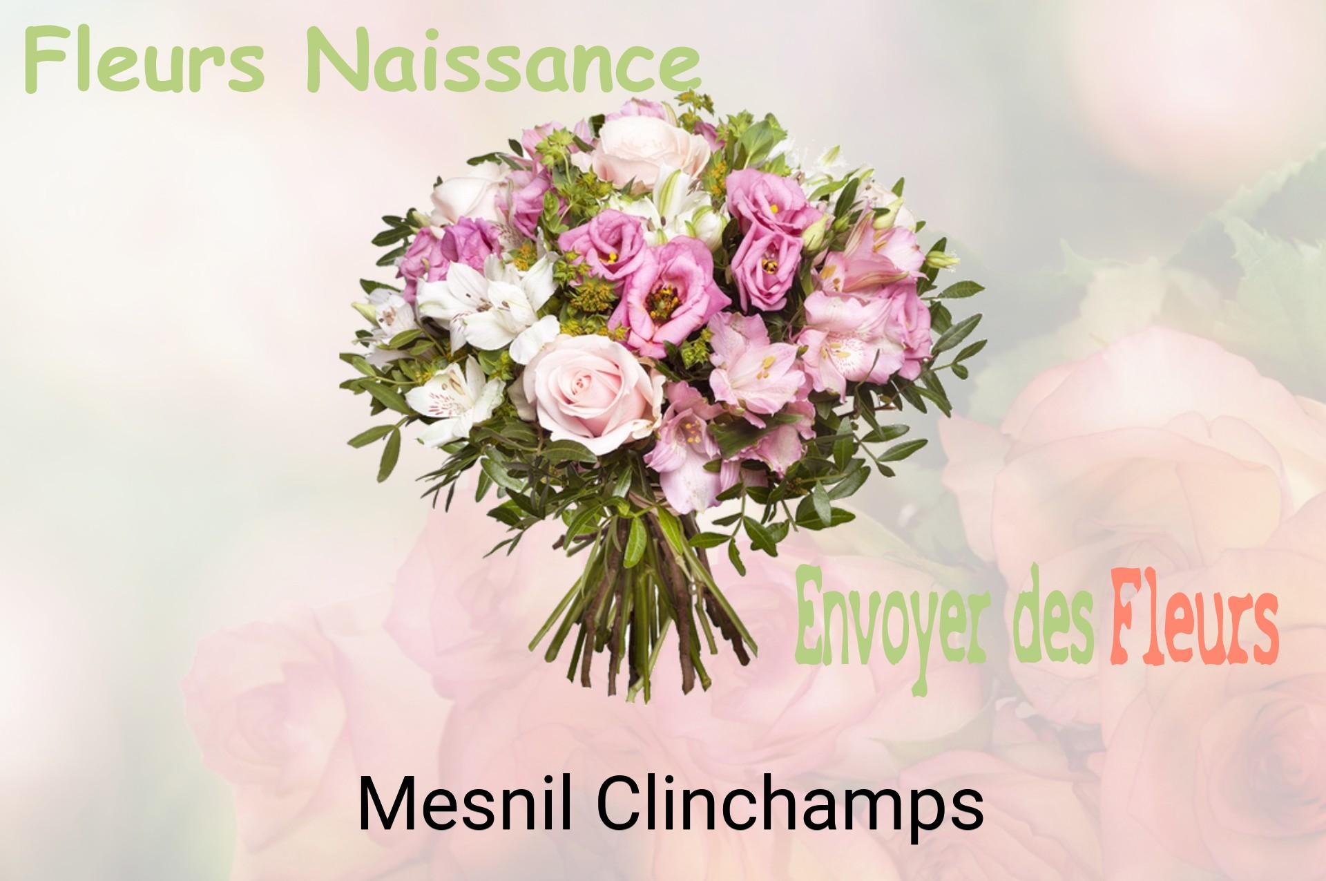 Bouquet de fleurs de naissance livré à Mesnil-Clinchamps